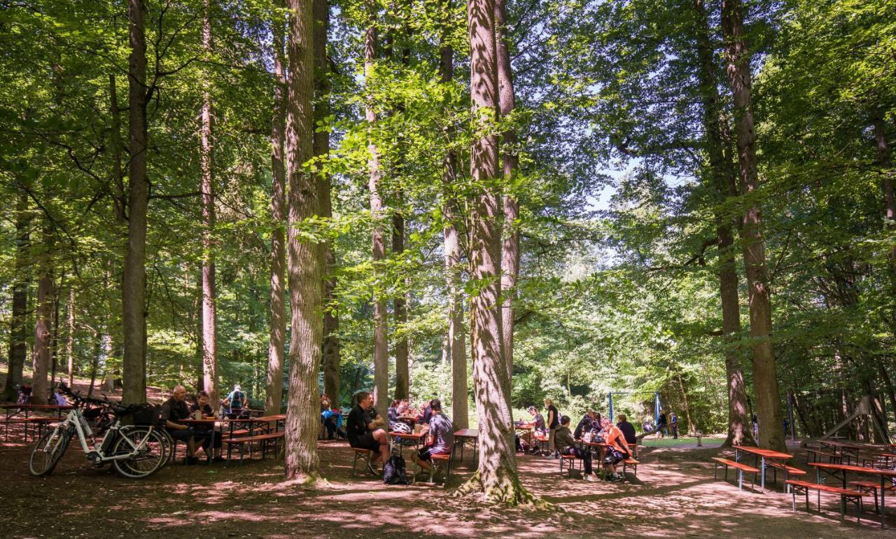 Brauereigasthof Zum Loewenbraeu Adelsdorf Kültér fotó